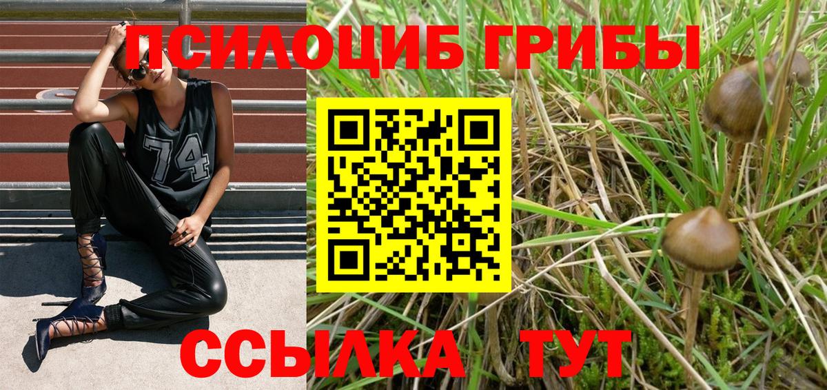 Галлюциногенные грибы Psilocybe  Вход с VPN  Псилоцибиновые грибы мицелий  Миасс 